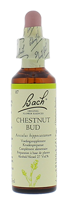 Bach Chestnut Bud/Kast.knop (7) 20ml PL500/2