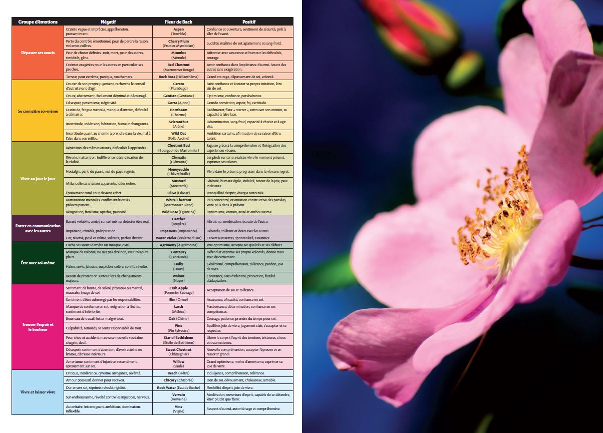 Bach Vragenlijst over de brochure FR