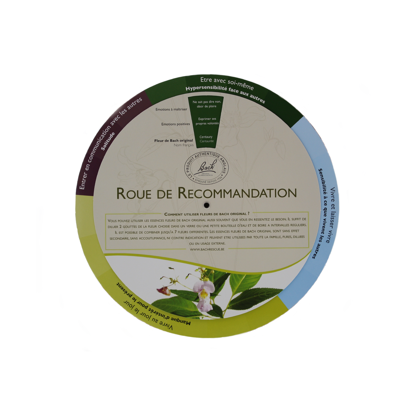 Bach Adviesdraaischijf FR