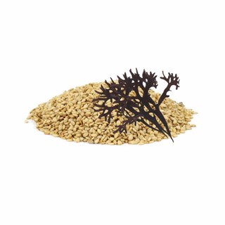 Jean Hervé Gomasio van de zee sesam/nori/zout 1,5kg - 7105