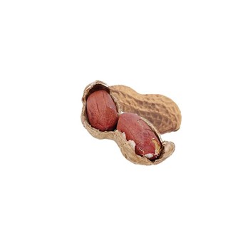 Jean Hervé Pindakaas bio 5kg - 7363