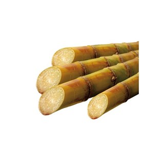 Jean Hervé Poedersuiker bulk bio 20kg - 7482