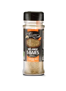 Masalchi 5 Kruidenmix bio 40g - 2307