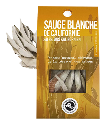 Aromandise Witte salie vlecht Californië 13cm