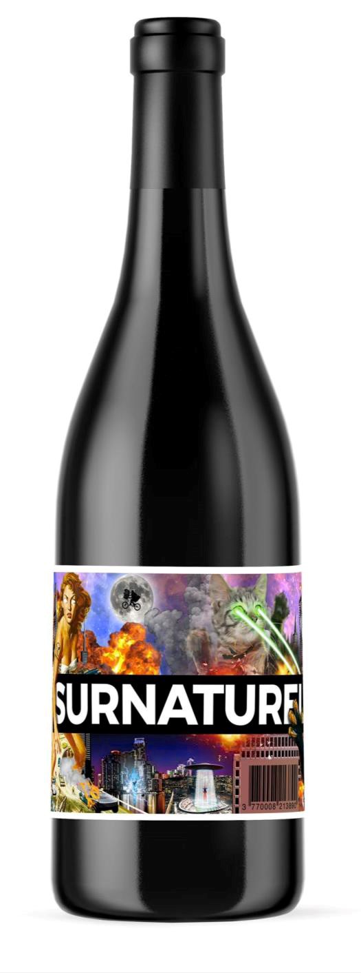 Les Vintrépides Wijn bordeaux rood zonder sulfieten «le surnaturel» 100% Merlot bio 75cl - 8034