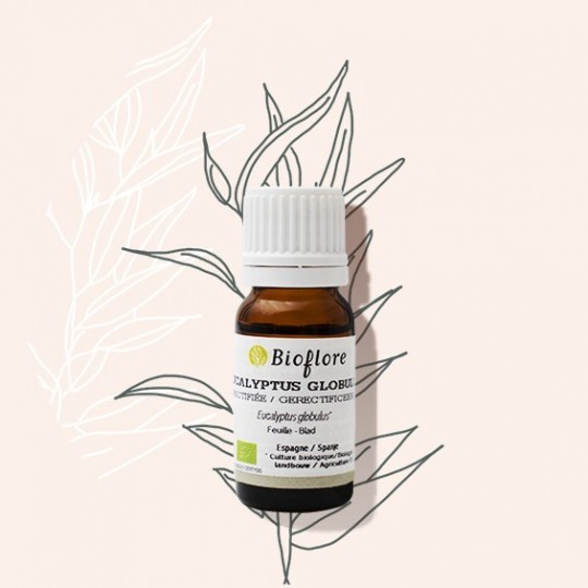 Bioflore Eucalyptus globulus etherische olie bio 10ml