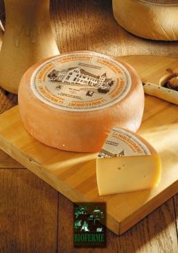 Bioferme Kaas Le wavreumont koe bio 2.1kg