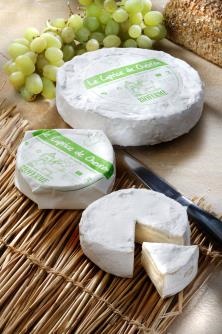 Bioferme Kaas Caprice de chevron bio 275g