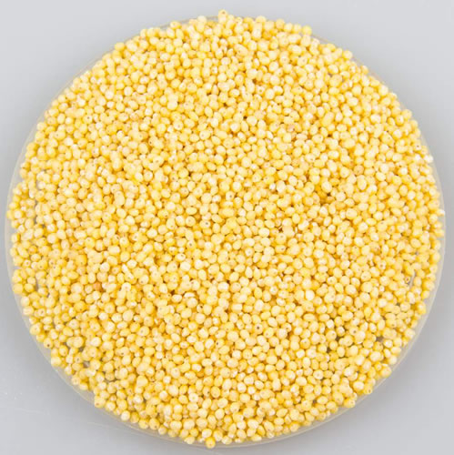 Marma Gierst bio 5kg