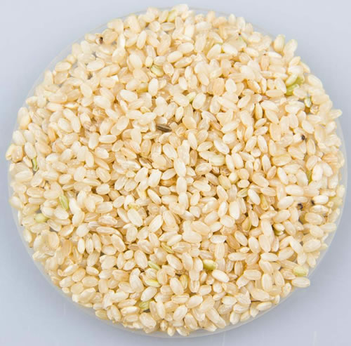 Marma Zilvervliesrijst rond bio 5kg