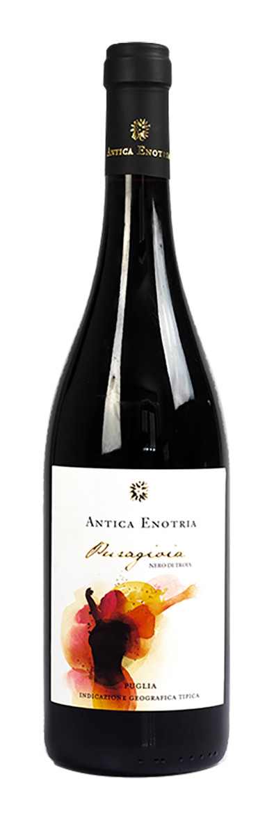 Antica Enotria Wijn rood Nero di Troia Puragioia 13,5% IGT Puglia bio 75cl