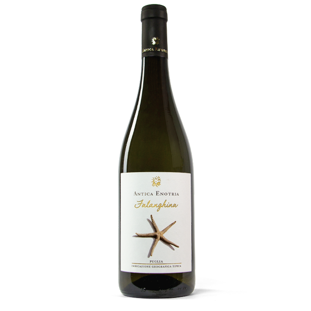 Antica Enotria Wijn wit Falanghina 12,5% IGT Puglia bio 75cl