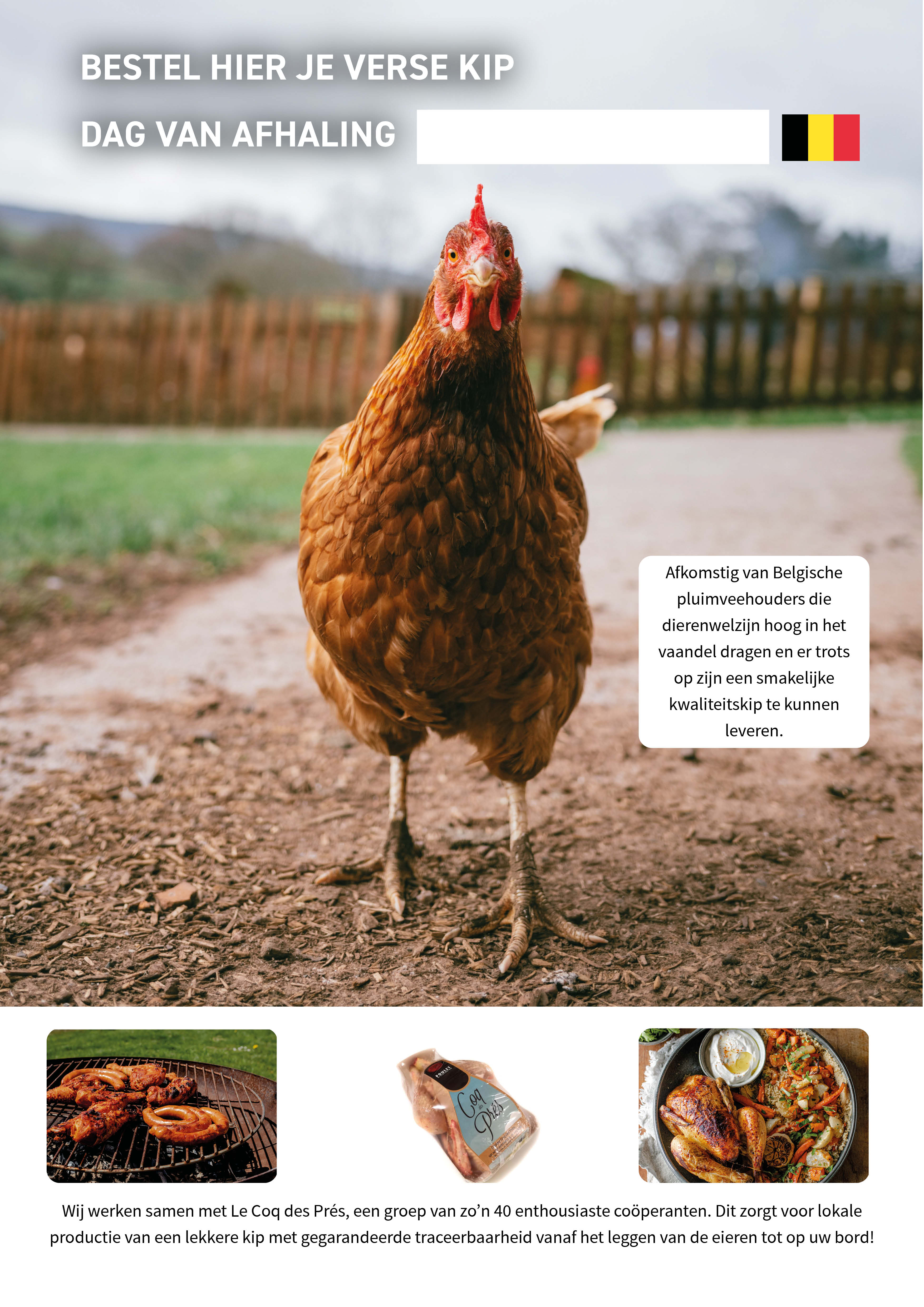 Coq des Prés Poster A3 NL