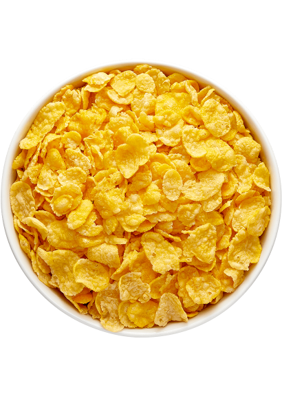 Grillon d'or Cornflakes natuur bio 3kg