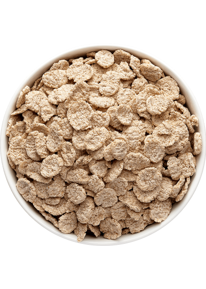 Grillon d'or Speltvlokken bio 4kg