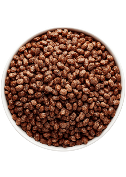 Grillon d'or Choco crisp bio 3kg