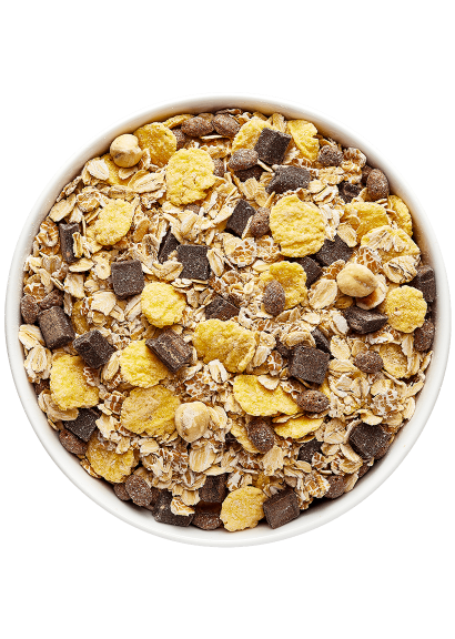 Grillon d'or Muesli pure chocolade hazelnoot bio 5kg