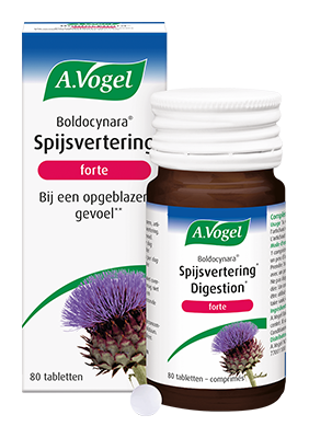 A. Vogel Boldocynara digestion forte 80pc
