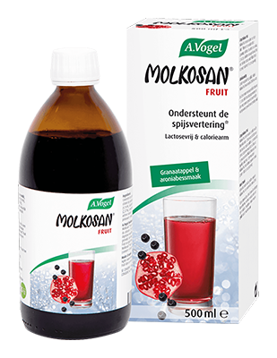A. Vogel Molkosan fruit 500ml