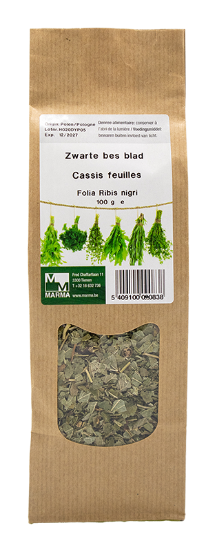 Marma Zwarte bes blad 100g - Ribes nigrum