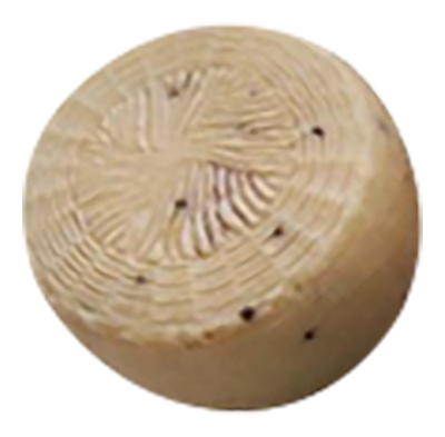 Funtana Cana Pecorino met truffel bio 3kg - beschikbaar oktober tem maart