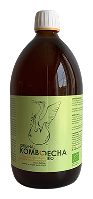 Irminhildis Komboecha bio 1L