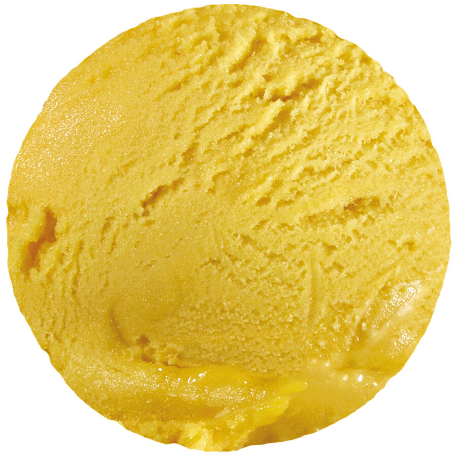 Rachelli Mango sorbet bio 4.75l