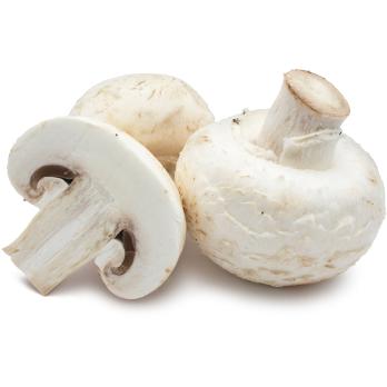 Champignon wit Bulk BE 3KG BIO