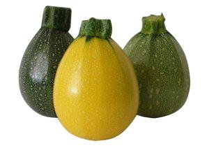 Courgette RONDE Mixte Jaune/Verte BE 4KG BIO