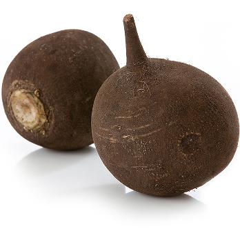 Radis Noir Rond BE 5KG BIO