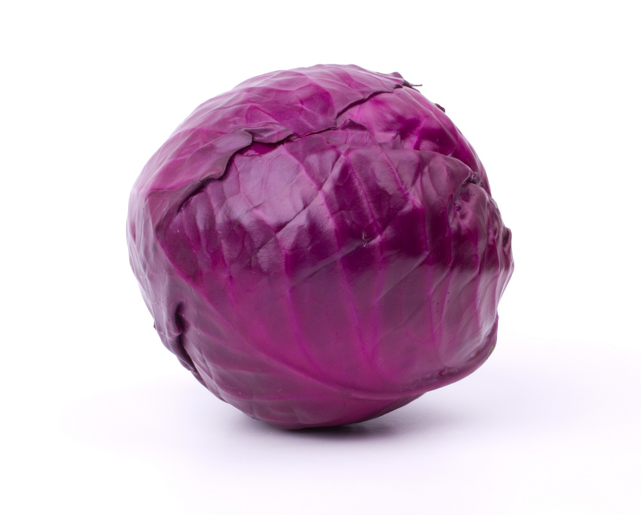 Kool rood BE 8ST BIO