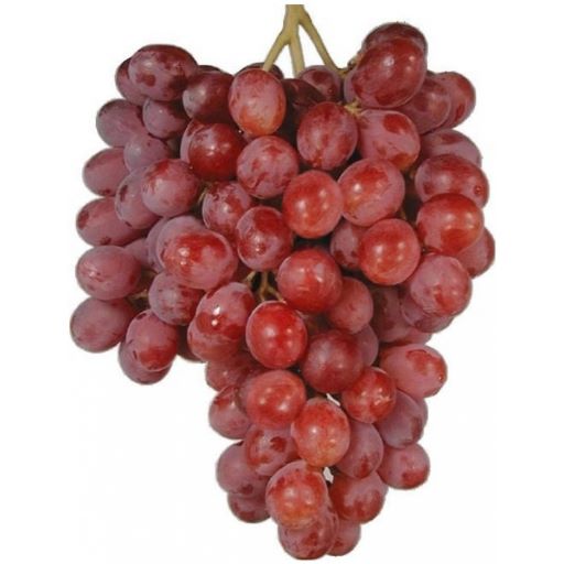 Raisin Rouge Red Globe IT 6KG CAT1 BIO