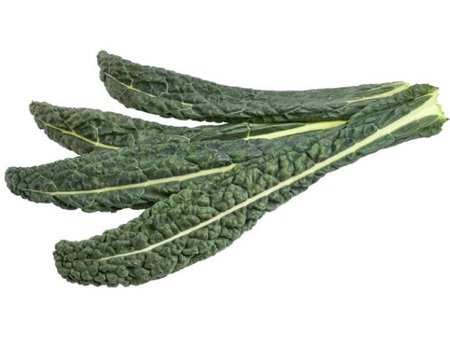 Chou Palmier BE 2KG BIO