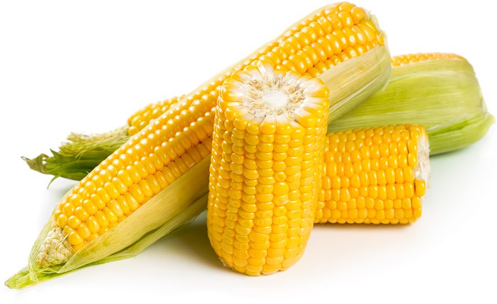 Maïs suikermaïs vers BE 10ST BIO