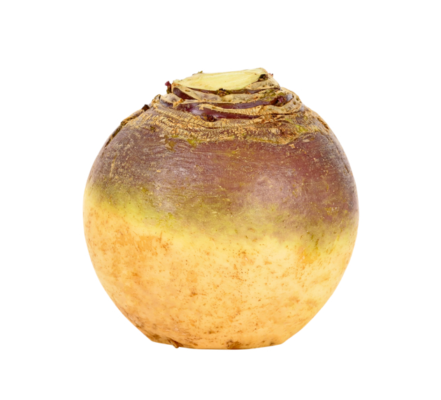 Knolraap Geel BE 5KG BIO