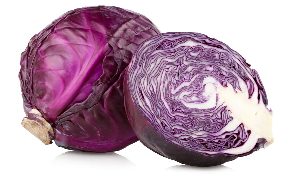 Kool rood BE 10ST BIO