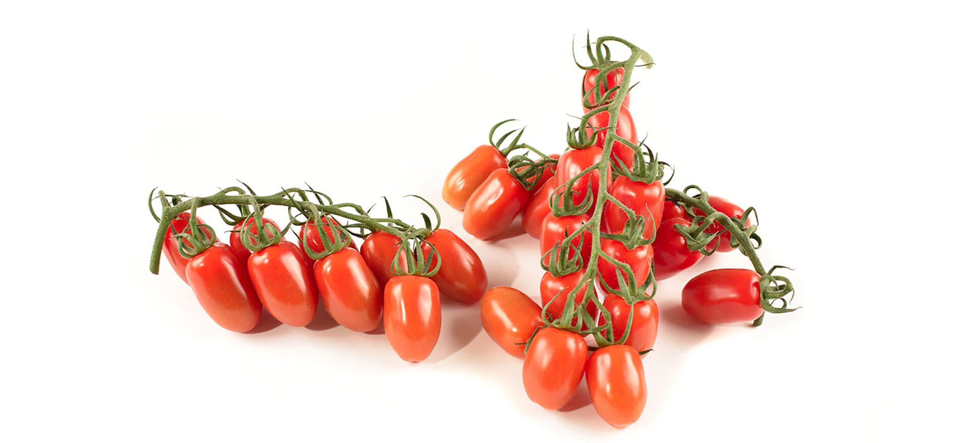 Tomate Mini San Marzano IT 3KG BIO