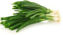 Oignon Ciboule TBE 12ST BIO