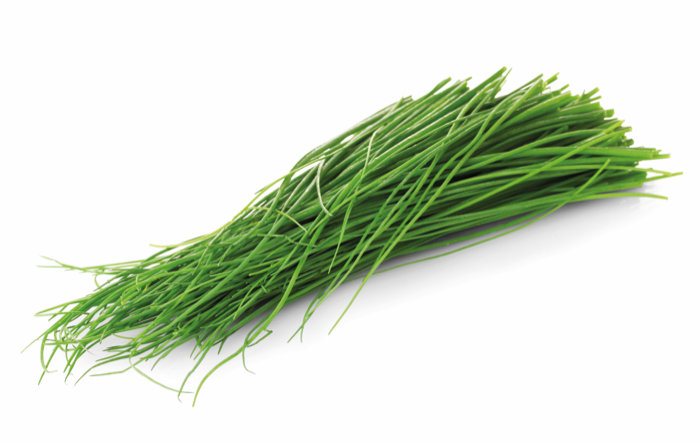 Lente ui grof 10ST BIO