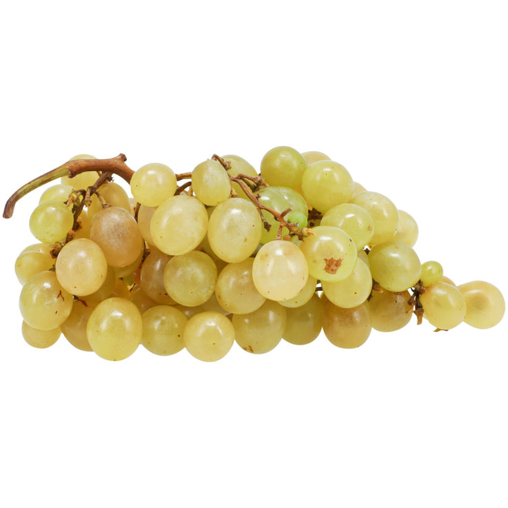 Druif Alledo ES 5KG BIO