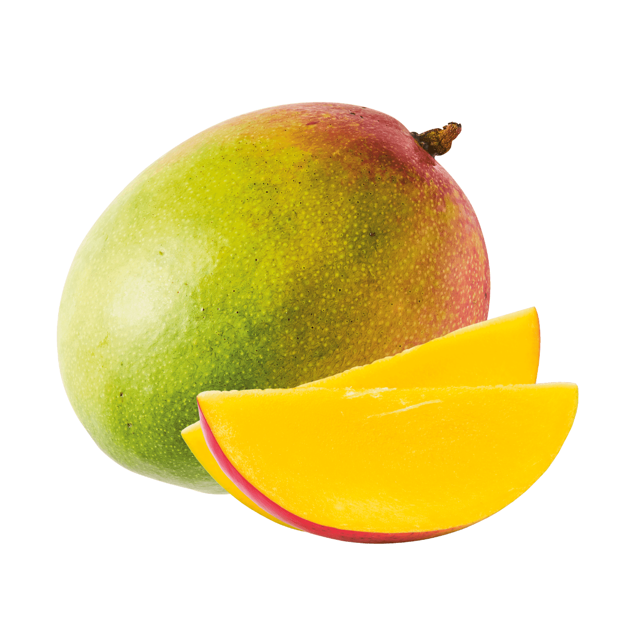 Mangue Kent PE 10 Pièces 4KG BIO