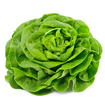 Sla Kropsla frisgroen FR 12ST BIO