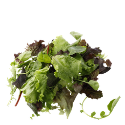 Jeune Pousse de Laitue VRAC TBE 1KG BIO