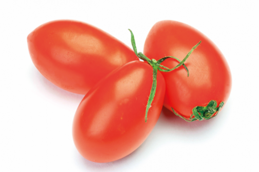 Tomate Roma IT 6KG BIO