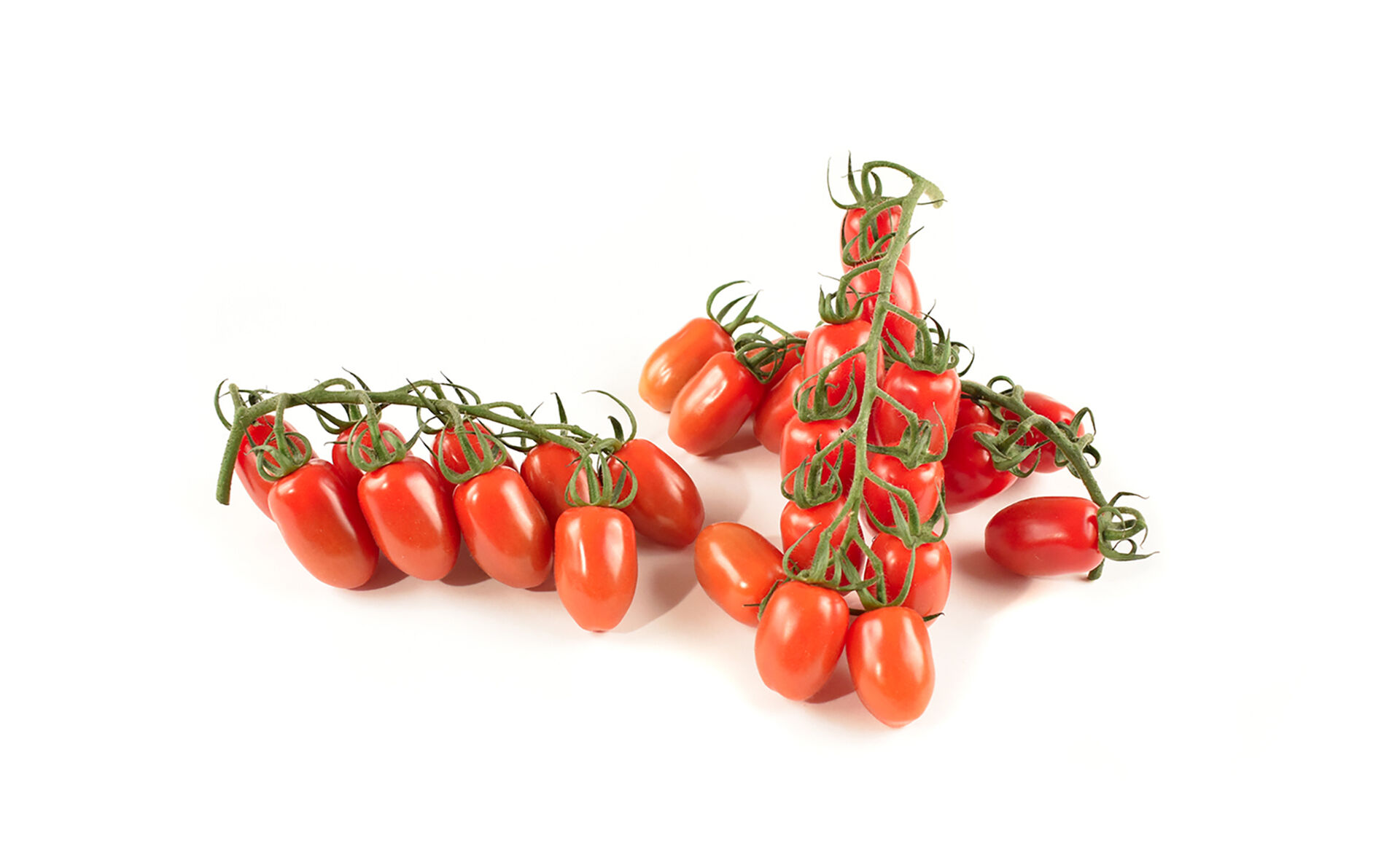 Tomaat Mini San Marzano BE 3KG BIO