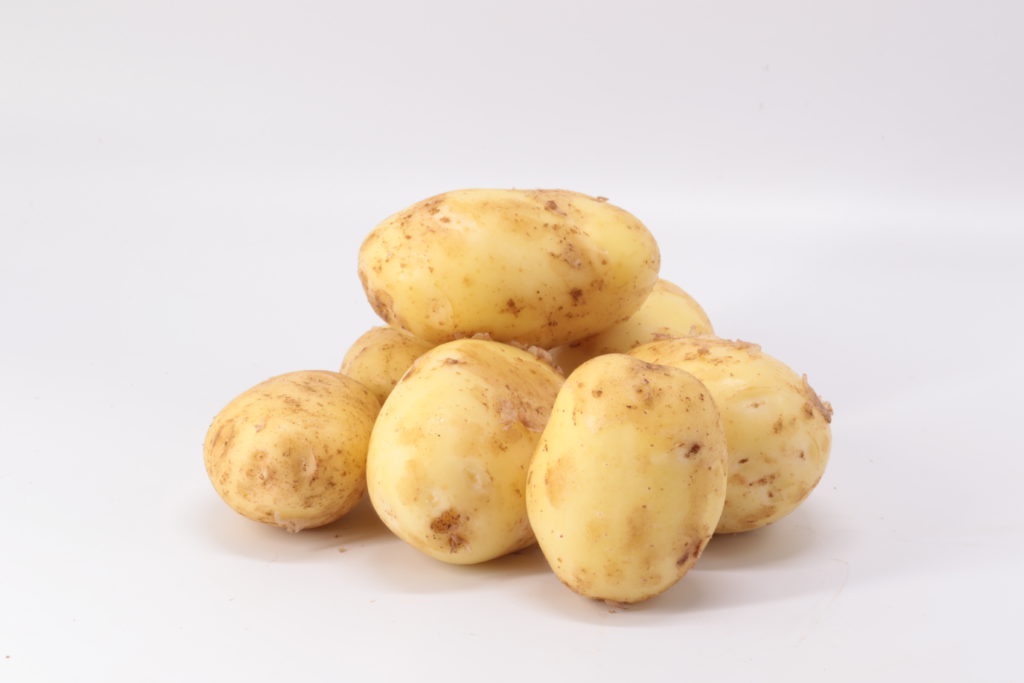 Aardappel Tentation nieuwe oogst BE 15KG BIO