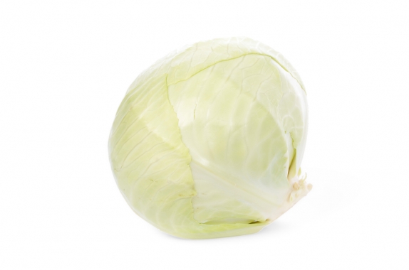 Chou Blanc petit calibre BE 8ST CAT1 BIO