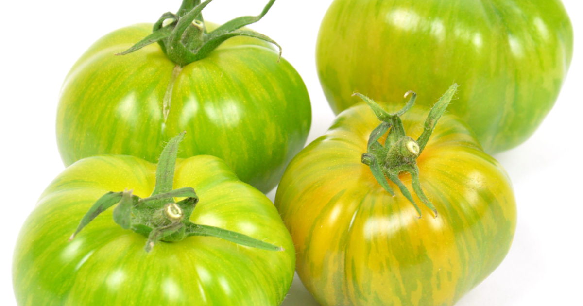 Tomate Ancienne Evergreen FR 5KG CAT1 BIO