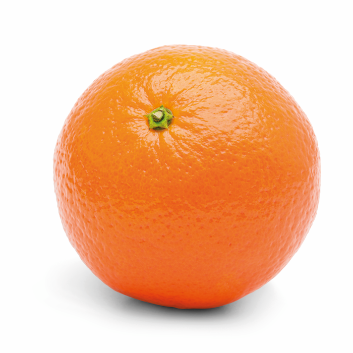 Orange à jus cal.7/8 ES 10KG BIO