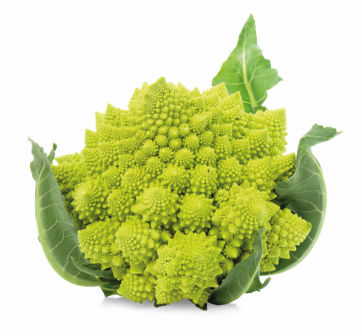 Kool Romanesco Torentjesbloemkool BE 8ST BIO